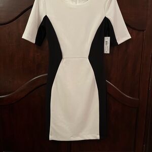 New Bisou Bisou Black and White Mini Dress